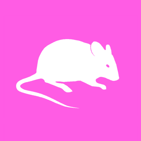 Mouse - Michael Croft